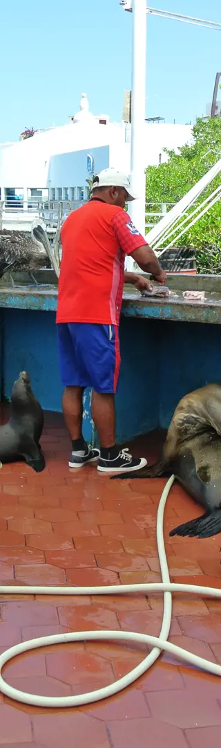 Puerto Ayora - Galapagos